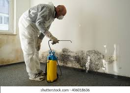 Best Water Damage & Mold Remediation  in USA